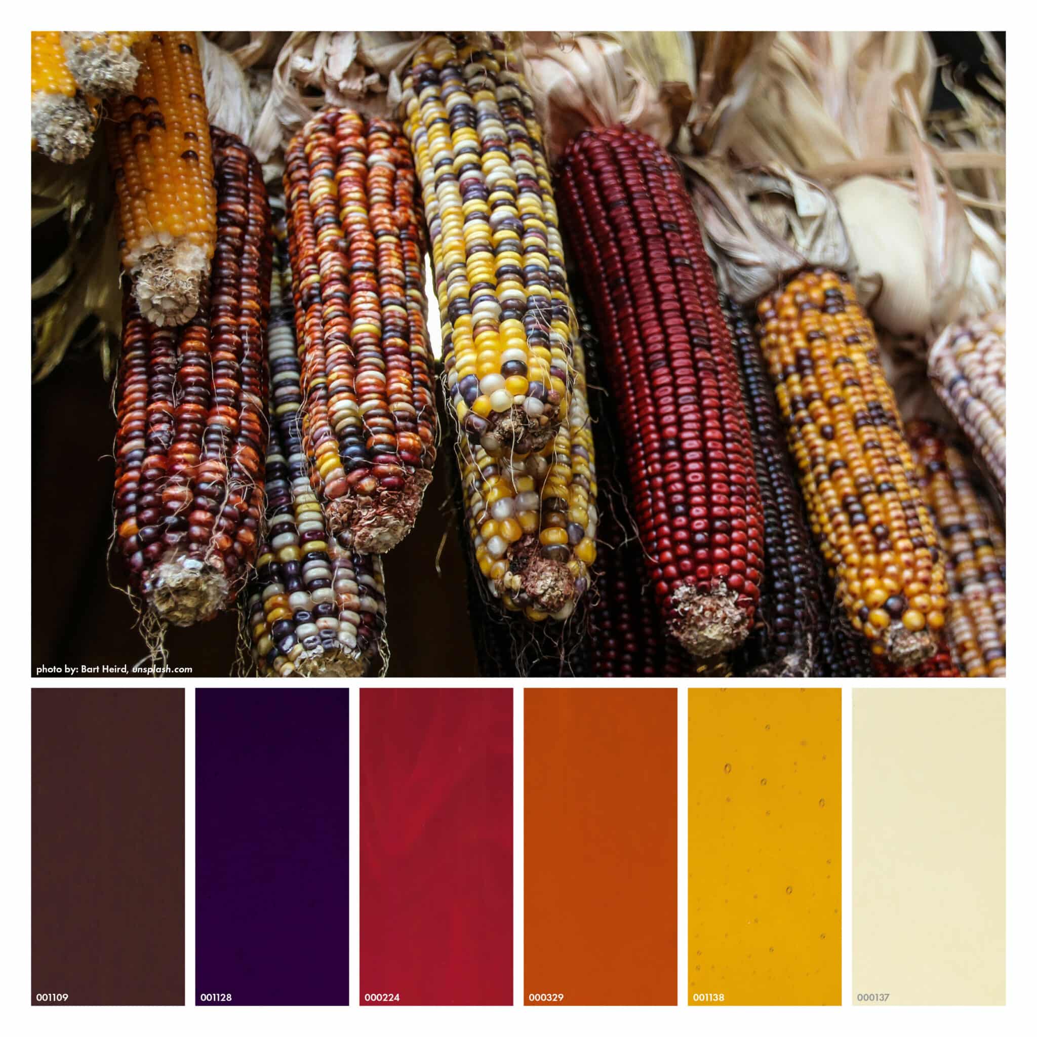 an autumn palette of Bullseye Glass colors